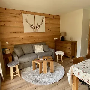 Renove T2, Vue Montagne , Samoëns France